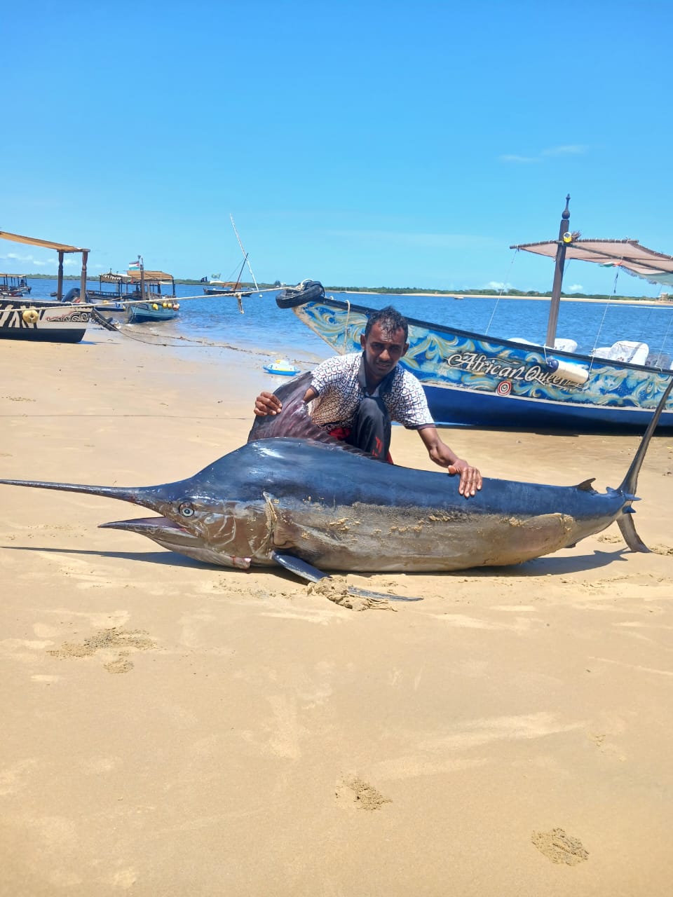 Trolling for marlin